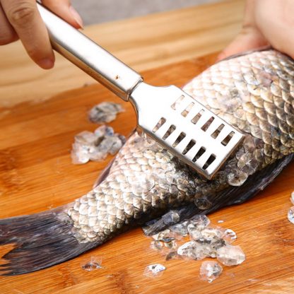 Stainless Steel Fish Scale Remover Scraper