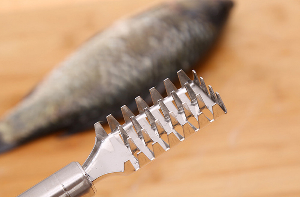 Stainless Steel Fish Scale Remover Scraper Alini Shop
