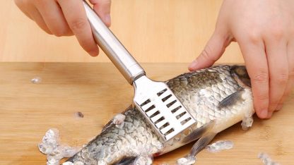 Stainless Steel Fish Scale Remover Scraper